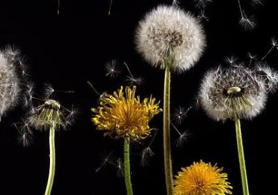 吃货的说说搞笑句子(通用40句)