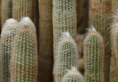 订婚四字祝福语(共70句)