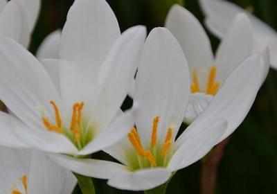 过60大寿祝福语(推荐50句)