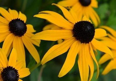 简短生日祝福语八个字(汇总55句)