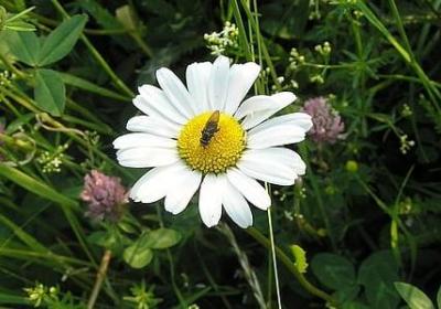 行车安全祝福语(推荐50句)