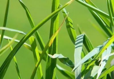 英语祝福语 生日(热门79句)