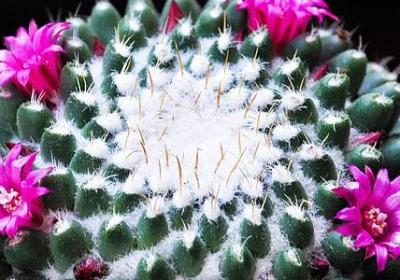 考出好成绩的祝福语(精选50句)