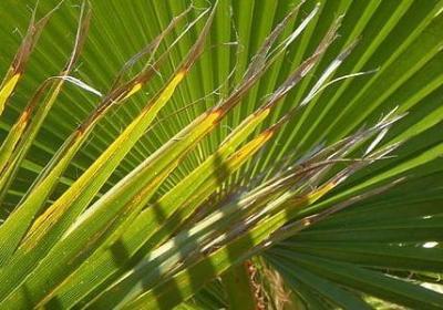 订婚祝福语大全(热门50句)