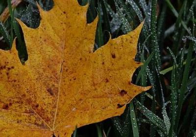 过生祝福语(共60句)