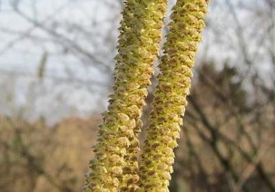 要生孩子的祝福语(实用50句)