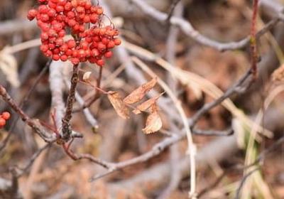 蛋糕祝福语(通用50句)