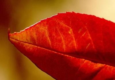 老父亲生日祝福语(共50句)