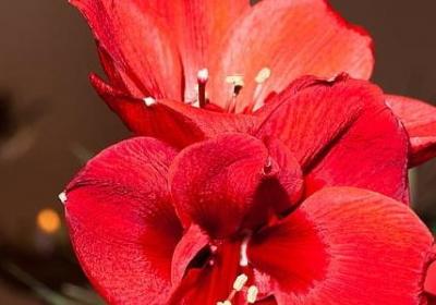 老师送给学生的祝福语(精选40句)