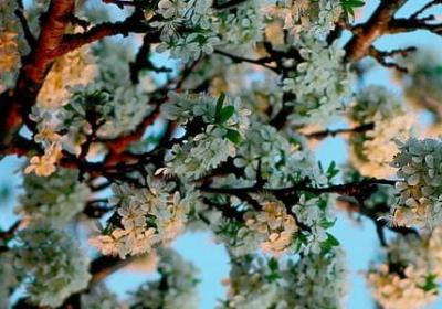 给亲哥哥的生日祝福语(优选53句)