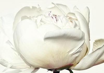 考上博士的祝福语(通用80句)