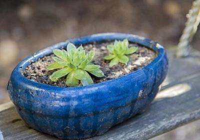 节假日祝福语(优选80句) 节假日祝福语(优选80句)