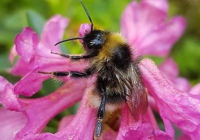 谷雨祝福语(实用60句) 谷雨祝福语(实用60句)