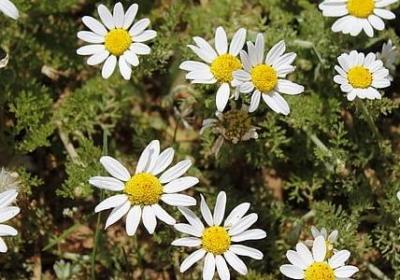 节日简短祝福语(实用40句) 节日简短祝福语(实用40句)