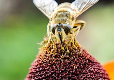 经典结婚祝福语(实用70句) 经典结婚祝福语(实用70句)