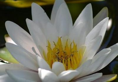 给朋友祝福语(优选70句) 给朋友祝福语(优选70句)