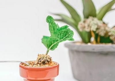 自己店铺开业祝福语(共50句) 自己店铺开业祝福语(共50句)