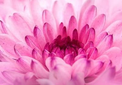 吃货的搞笑经典句子(推荐50句)