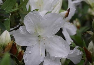 英文生日快乐祝福语(精选40句) 英文生日快乐祝福语(精选40句)