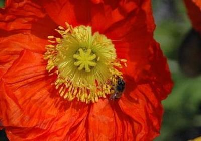 订婚红包祝福语(汇总60句)