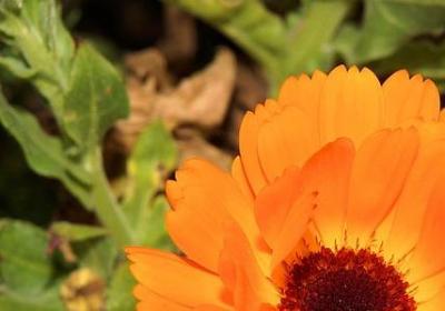 老婆给老公生日祝福语(汇总40句)