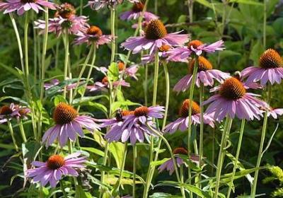 给幼儿园小朋友祝福语(汇总69句)