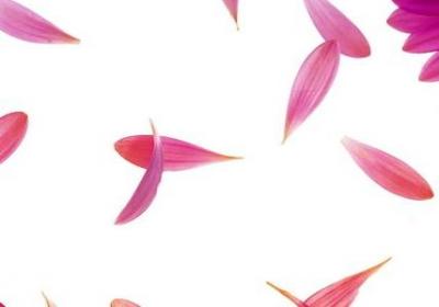 老年祝福语大全集(优选40句)