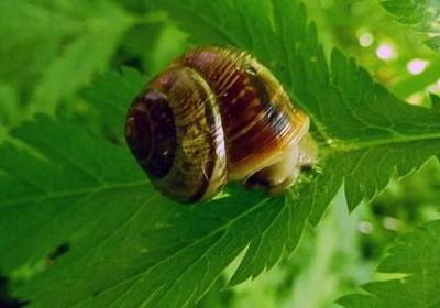 结婚周年祝福语8个字(必备60句)