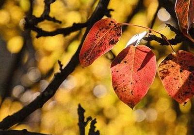 蛋糕祝福语创意(热门40句)