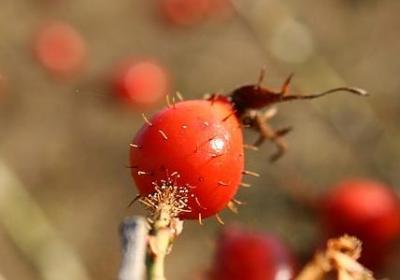 艺术节祝福语(合集40句)