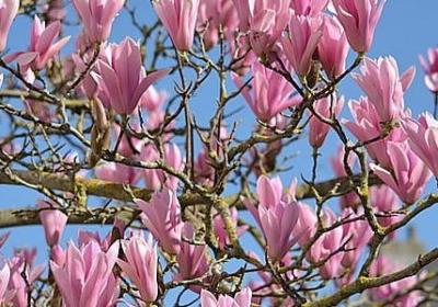 考大学祝福语(共60句)