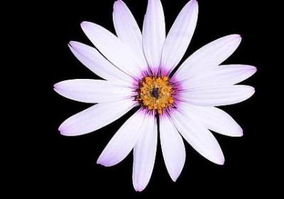 贺卡的祝福语怎么写(精选40句)