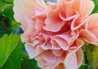 车的祝福语(优选60句)