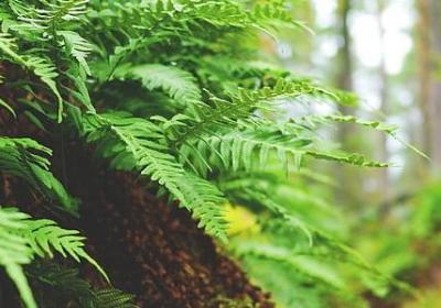 荣休祝福语(优选50句)