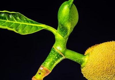 英文结婚祝福语(共52句)