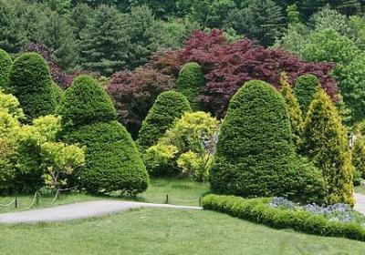 红包的祝福语(共40句)