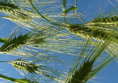 考试祝福语(合集50句)