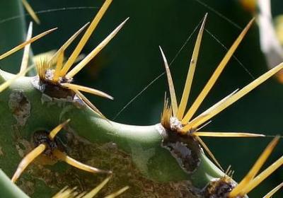 舅舅过生日祝福语(合集14句)