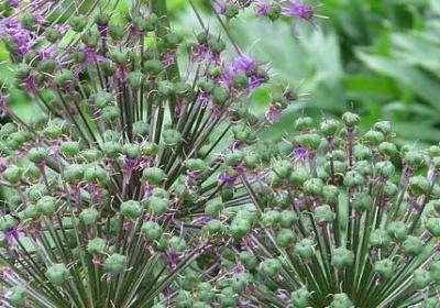 老爸过生日的祝福语(必备48句)