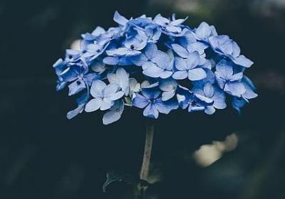 给对象过生日的祝福语(优选40句)