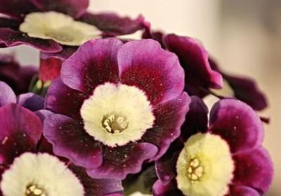 装修房子的祝福语(精选40句)