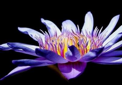 表弟结婚祝福语(汇总53句)