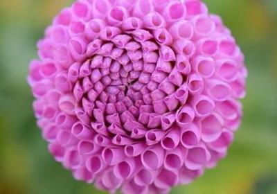 老年人祝福语(74句)