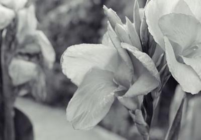 财神祝福语(精选80句)