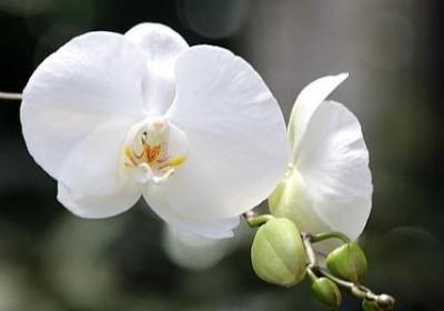 考试顺利的祝福语(必备50句)