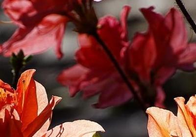 考研祝福语和鼓励的话(共80句) 考研祝福语和鼓励的话(共80句)