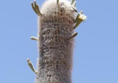 蛋糕祝福语 简短独特(精选40句)