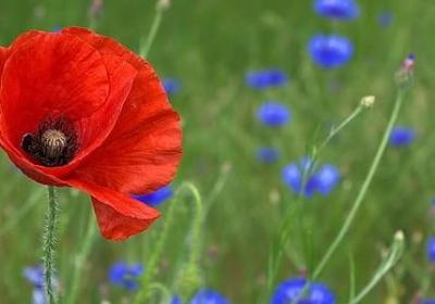 财源广进的祝福语(汇总79句)