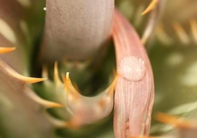 葬礼祝福语(推荐60句)