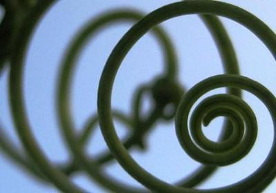 诗意生日祝福语(热门30句)